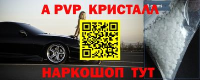 бошки Жуковский