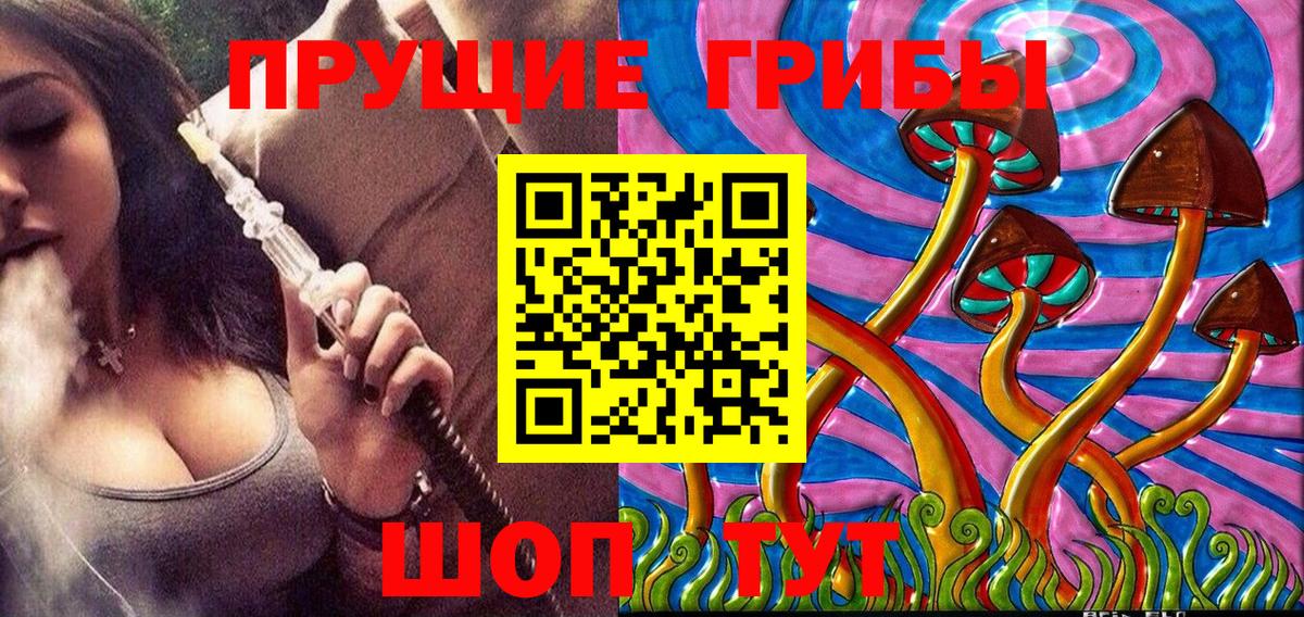 Галлюциногенные грибы Psilocybe Заринск